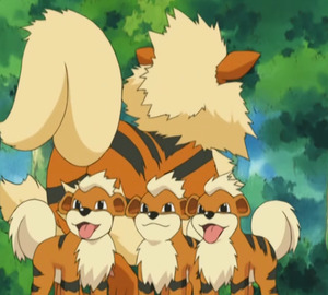 perros pokemon